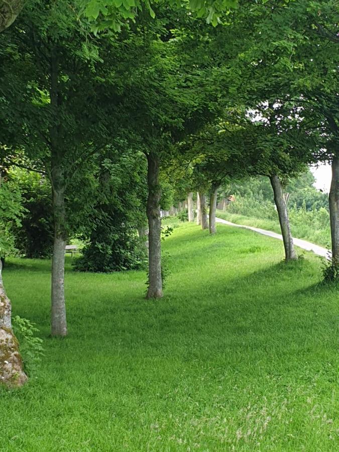 Appartement Proche Des Remparts Et Tous Commerces. モントルイユ・シュル・メール エクステリア 写真